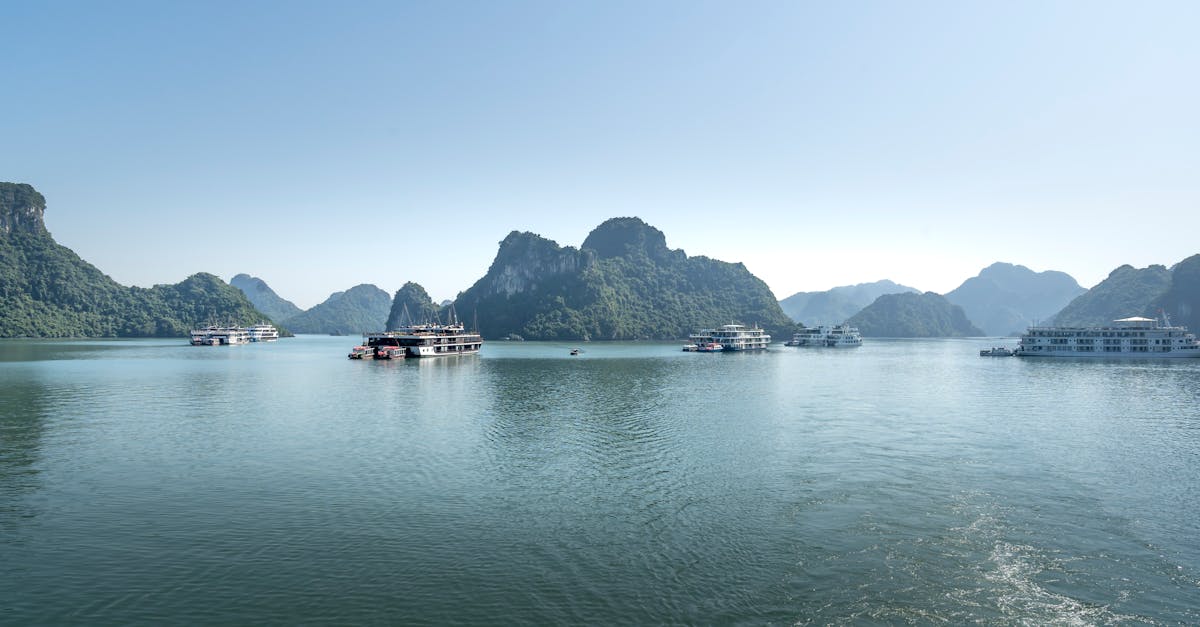 Travelers visit Halong Bay hakkında bir görsel
